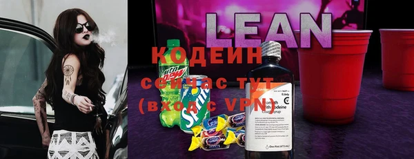 твердый Дмитриев