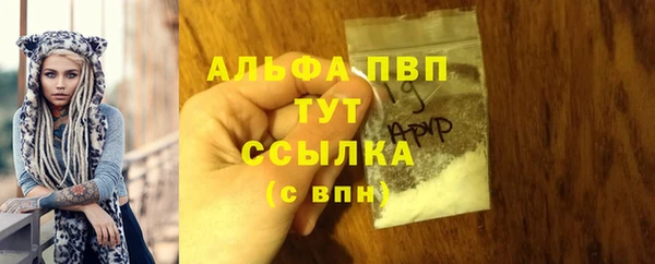 твердый Дмитриев