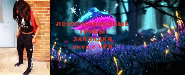 2c-b Дмитров